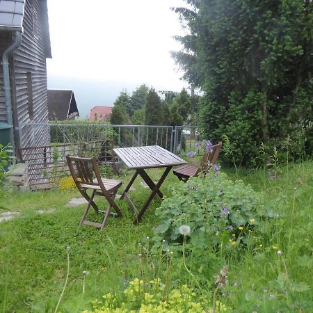 Haus Bergwiese - Fuer Naturfreunde, Familien, Wanderer Gehlberg Kültér fotó